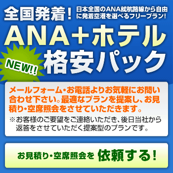 全国発!! ANA+ホテル 格安パック